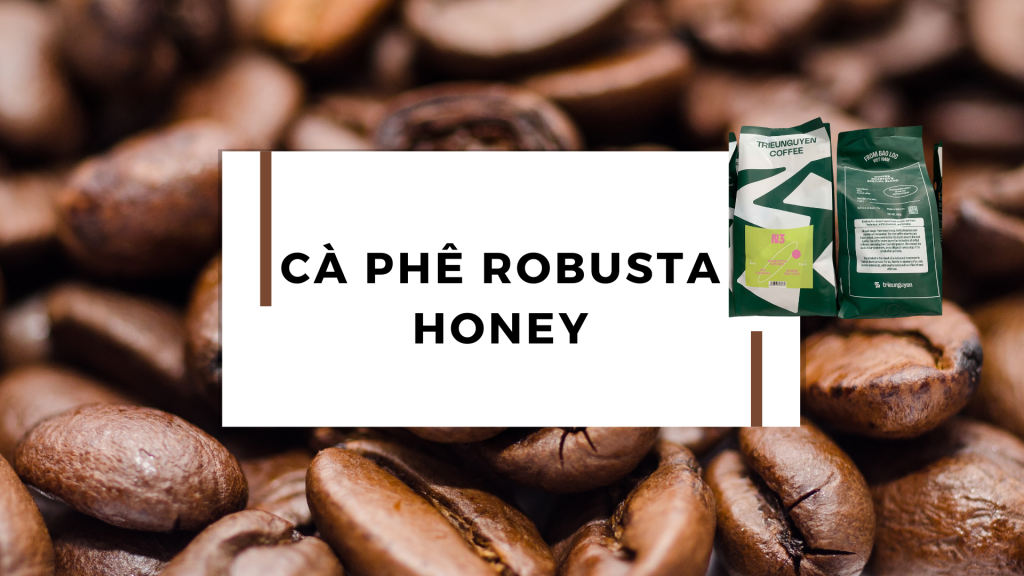 ca phe robusta honey trieunguyen