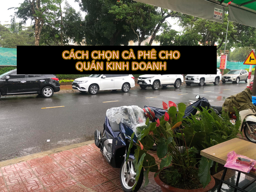 chọn cà phê cho quán kinh doanh _triều nguyên