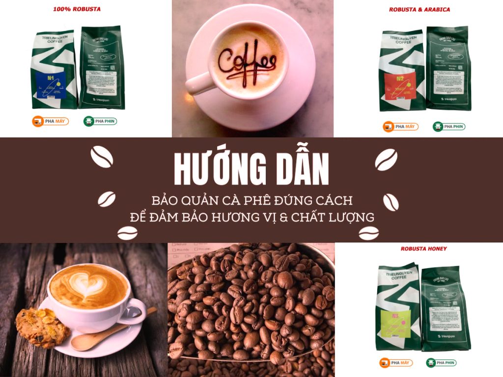 hướng dẫn bảo quản cà phê_triều nguyên